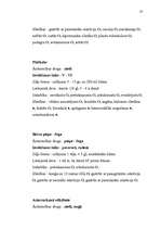 Konspekts 'Ārstnieciskie augi mūsu ģimenei', 37.