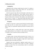 Referāts 'Hidroponika', 5.