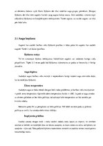 Referāts 'Hidroponika', 10.