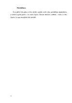 Referāts 'Hidroponika', 11.