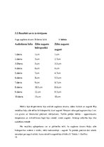 Referāts 'Hidroponika', 15.