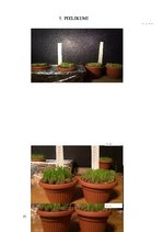 Referāts 'Hidroponika', 21.