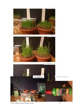 Referāts 'Hidroponika', 22.