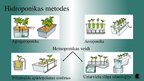 Referāts 'Hidroponika', 29.