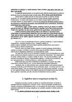 Diplomdarbs 'Integrētie uzdevumi pamatskolas kursā', 5.