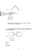 Diplomdarbs 'Integrētie uzdevumi pamatskolas kursā', 45.