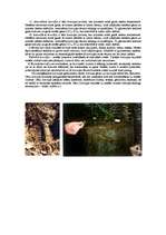 Konspekts 'Metālu korozija un pretkorozija', 2.