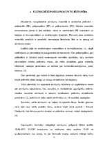 Referāts 'Sadzīves atkritumu poligonu ugunsbīstamība', 11.