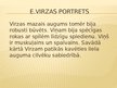 Prezentācija 'Edvarts Virza', 2.