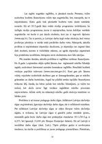 Referāts 'Izglītības sistēma Latvijā', 10.