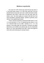 Biznesa plāns 'Ziedu veikals "Roze"', 6.