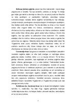 Referāts 'Latviešu tradicionālais tautas tērps un mūsdienas', 7.