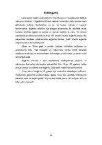 Referāts 'Latviešu tradicionālais tautas tērps un mūsdienas', 24.