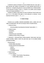 Referāts 'Valsts varas institūciju raksturojums Latvijā', 10.