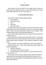 Referāts 'Valsts varas institūciju raksturojums Latvijā', 12.