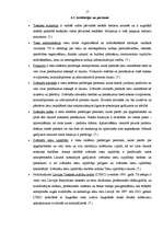 Referāts 'Valsts varas institūciju raksturojums Latvijā', 17.