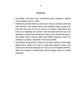 Referāts 'Valsts varas institūciju raksturojums Latvijā', 22.