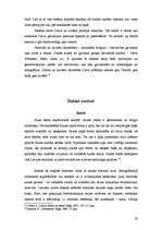 Referāts 'Senlatviešu simbolika', 20.