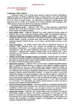 Eseja 'Organizācijas kultūra', 1.