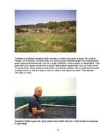 Referāts 'Cilvēka dzīves sapņi un realitāte padomju represīvā režīma laikā: Vilmas un Alfr', 10.