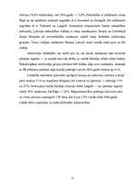 Referāts 'Iedzīvotāju diferenciācija pa ienākumiem un sociālais klimats', 17.