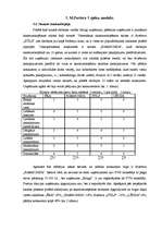 Prakses atskaite 'Prakses atskaite mārketingā. Skaistumkopšanas salons', 9.