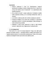 Prakses atskaite 'Prakses atskaite mārketingā. Skaistumkopšanas salons', 11.