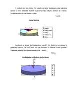 Prakses atskaite 'Prakses atskaite mārketingā. Skaistumkopšanas salons', 13.