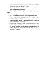 Prakses atskaite 'Prakses atskaite mārketingā. Skaistumkopšanas salons', 16.