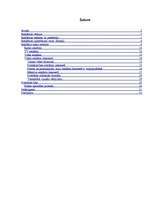 Referāts 'Interneta reklāmas rullīša izveide. Praktiskā daļa un teorija', 1.