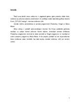 Referāts 'Interneta reklāmas rullīša izveide. Praktiskā daļa un teorija', 2.