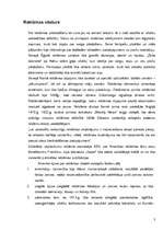 Referāts 'Interneta reklāmas rullīša izveide. Praktiskā daļa un teorija', 3.