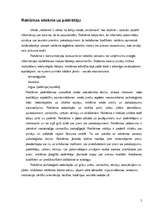 Referāts 'Interneta reklāmas rullīša izveide. Praktiskā daļa un teorija', 5.