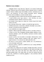 Referāts 'Interneta reklāmas rullīša izveide. Praktiskā daļa un teorija', 8.