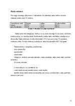 Referāts 'Interneta reklāmas rullīša izveide. Praktiskā daļa un teorija', 10.