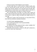 Referāts 'Interneta reklāmas rullīša izveide. Praktiskā daļa un teorija', 11.