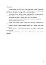 Referāts 'Interneta reklāmas rullīša izveide. Praktiskā daļa un teorija', 12.