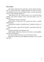 Referāts 'Interneta reklāmas rullīša izveide. Praktiskā daļa un teorija', 13.