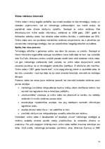 Referāts 'Interneta reklāmas rullīša izveide. Praktiskā daļa un teorija', 14.