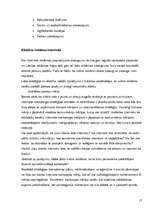 Referāts 'Interneta reklāmas rullīša izveide. Praktiskā daļa un teorija', 17.