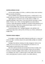 Referāts 'Interneta reklāmas rullīša izveide. Praktiskā daļa un teorija', 19.