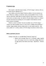 Referāts 'Interneta reklāmas rullīša izveide. Praktiskā daļa un teorija', 20.