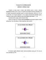 Referāts 'Transporta nozares apskats Latvijā no 2000.-2004.gadam', 4.