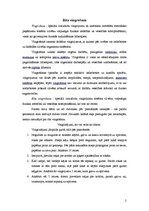 Konspekts 'Rīta vingrošana', 2.