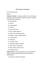 Referāts 'SWOT analīze, tās būtība un lietošanas iespējas', 7.