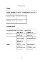 Referāts 'SWOT analīze, tās būtība un lietošanas iespējas', 10.