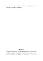 Referāts 'Korupcija', 12.