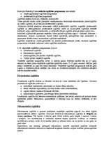 Konspekts 'Izglītības sistēma Krievijā', 3.