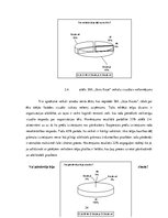 Referāts 'SIA "Jānis Roze vairumtirdzniecība”.
Klientu apkalpošanas pilnveidošanas iespē', 24.