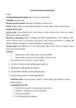 Prakses atskaite 'Integrētā mācību prakse sākumskolā', 3.